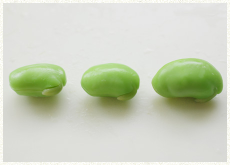 岡山黒枝豆の写真
