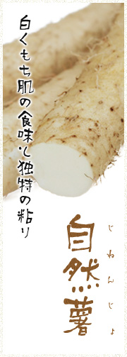 白くもち肌の食味と独特の粘り 自然薯（じねんじょ）